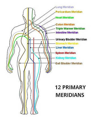 12 Primary Meridians